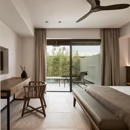The Olivar 5* Mesongí