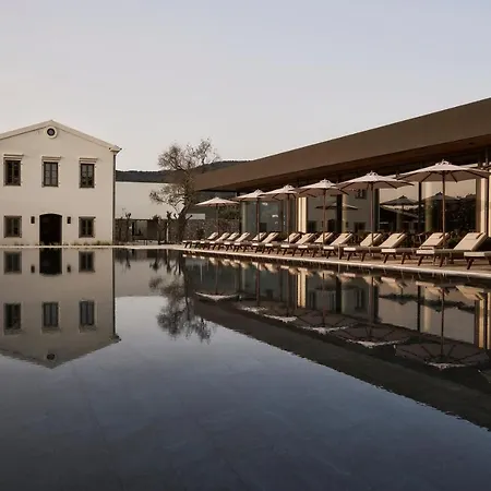 The Olivar 5* Mesongí