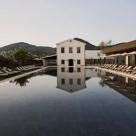 Hotel The Olivar Mesongí