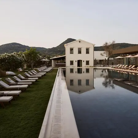 The Olivar Hotel Mesongí