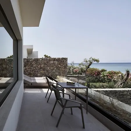 The Olivar Meszongí