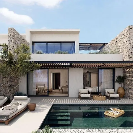 The Olivar 5*