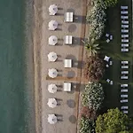 The Olivar 5*