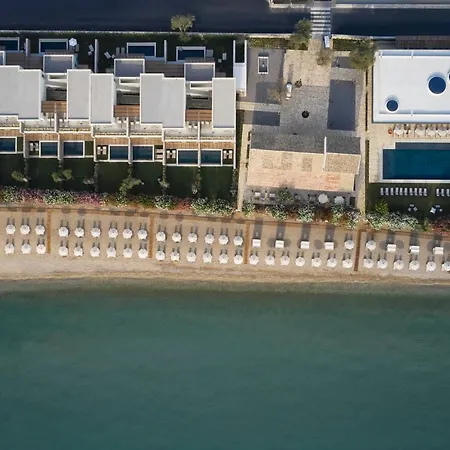 Отель The Olivar 5*
