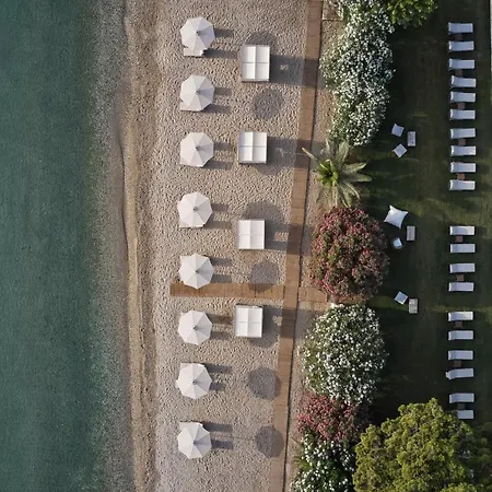 The Olivar 5*