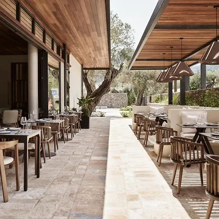 The Olivar 5* Mesongí