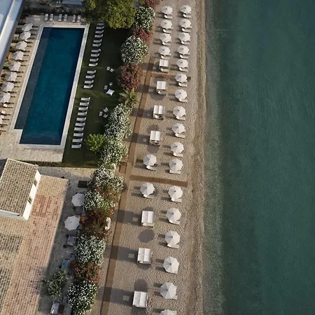 The Olivar 5*