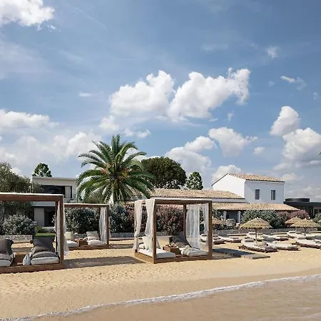 The Olivar 5*