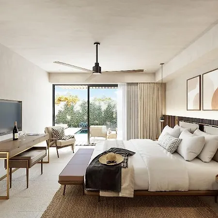 The Olivar 5*
