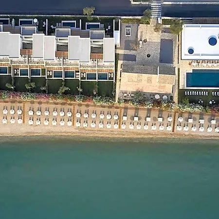 The Olivar 5*