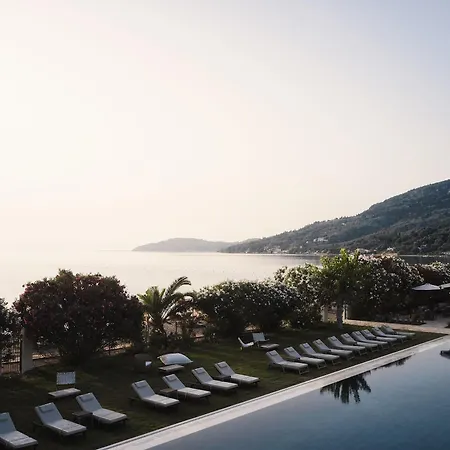The Olivar 5*