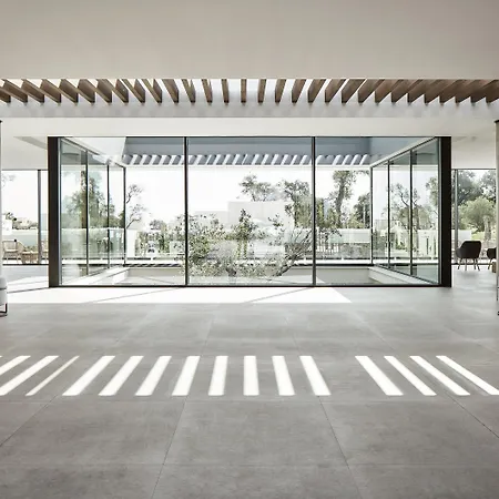 The Olivar 5*