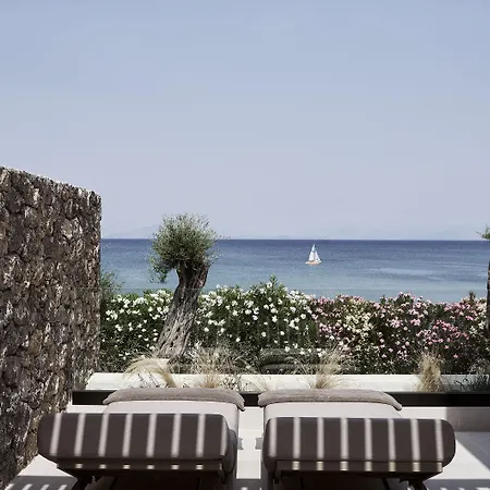 The Olivar 5* Mesongí
