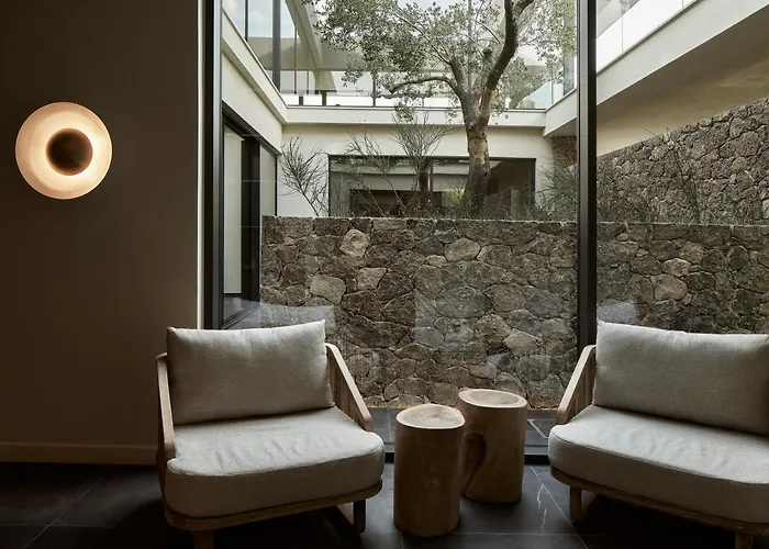 The Olivar 5* Mesongí