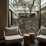 The Olivar 5* Mesongí