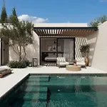 The Olivar