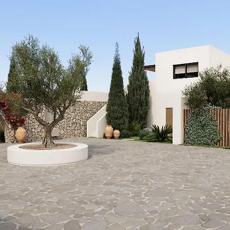 The Olivar
